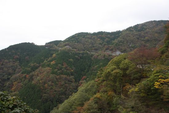 ibukiyama